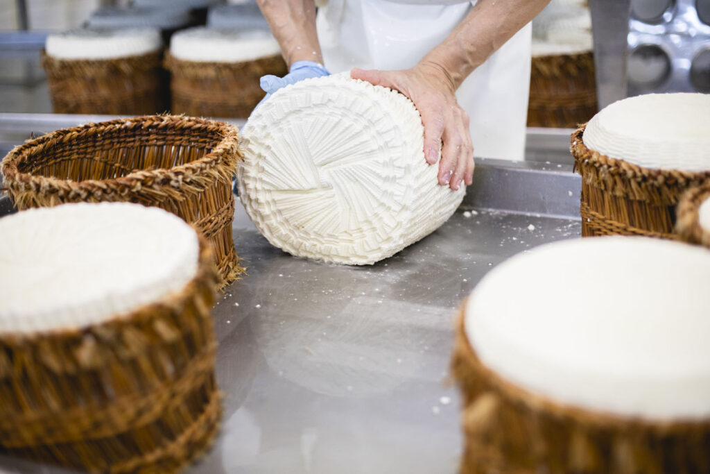 Produzione del formaggio
