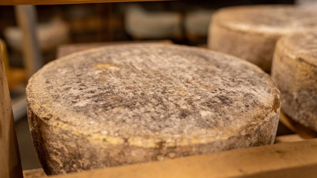 Forma di formaggio stagionata