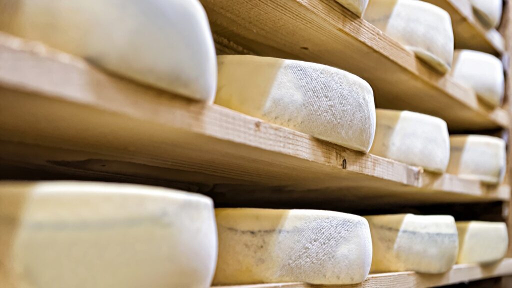La storia del formaggio: formaggi freschi disposti nei ripiani