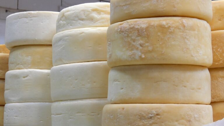 Come conservare il formaggio: valutare sempre il tipo di prodotto