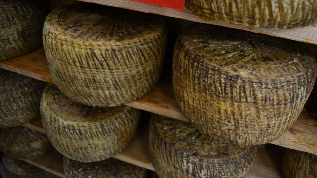 La crosta del formaggio si mangia: il pecorino sardo ha una crosta edibile